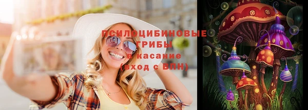 прущие грибы Горно-Алтайск