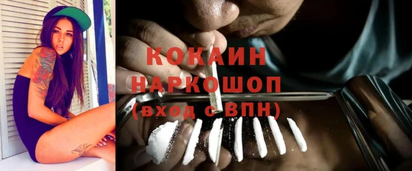 прущие грибы Горно-Алтайск