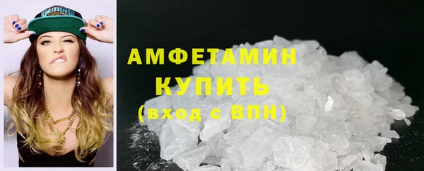 прущие грибы Горно-Алтайск