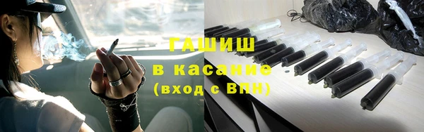 прущие грибы Горно-Алтайск