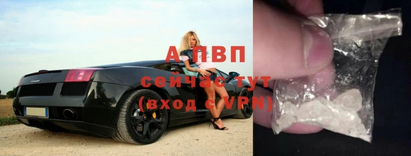 прущие грибы Горно-Алтайск