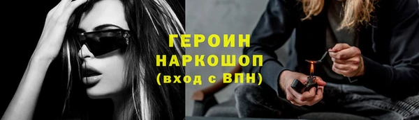 прущие грибы Горно-Алтайск