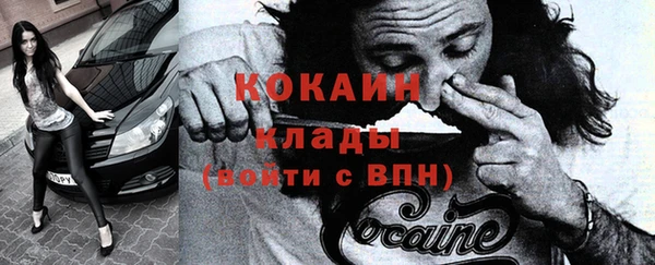 дживик Горняк