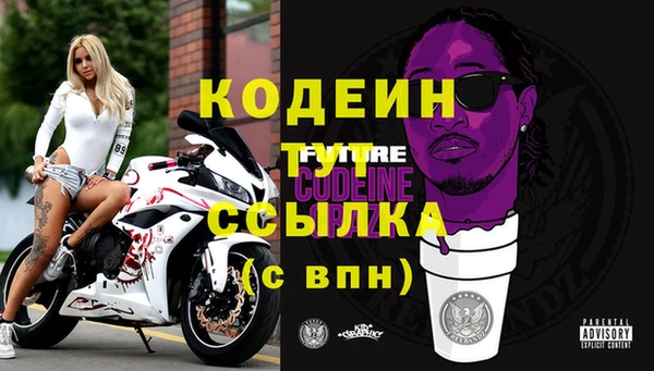 прущие грибы Горно-Алтайск