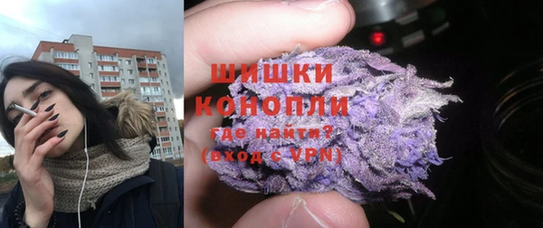 дживик Горняк