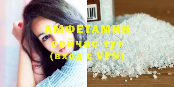 прущие грибы Горно-Алтайск