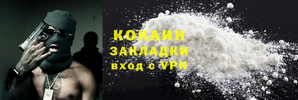 прущие грибы Горно-Алтайск