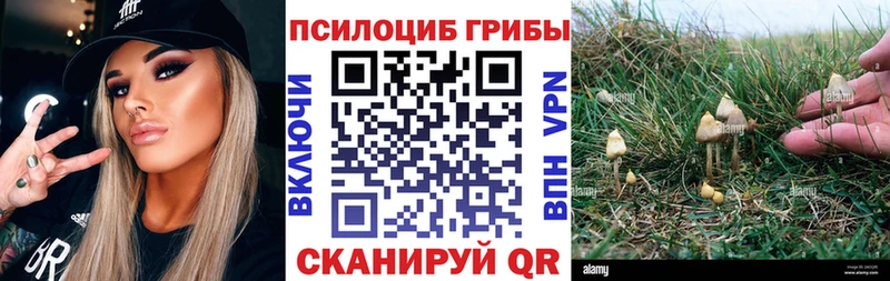Псилоцибиновые грибы Psilocybine cubensis  Саранск 